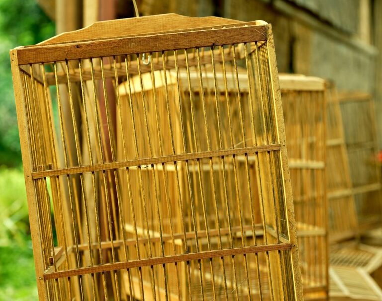 bird cage paint
