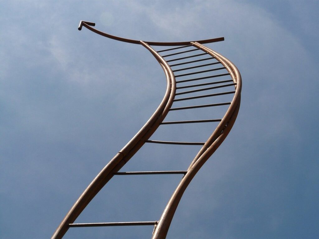 bird ladder