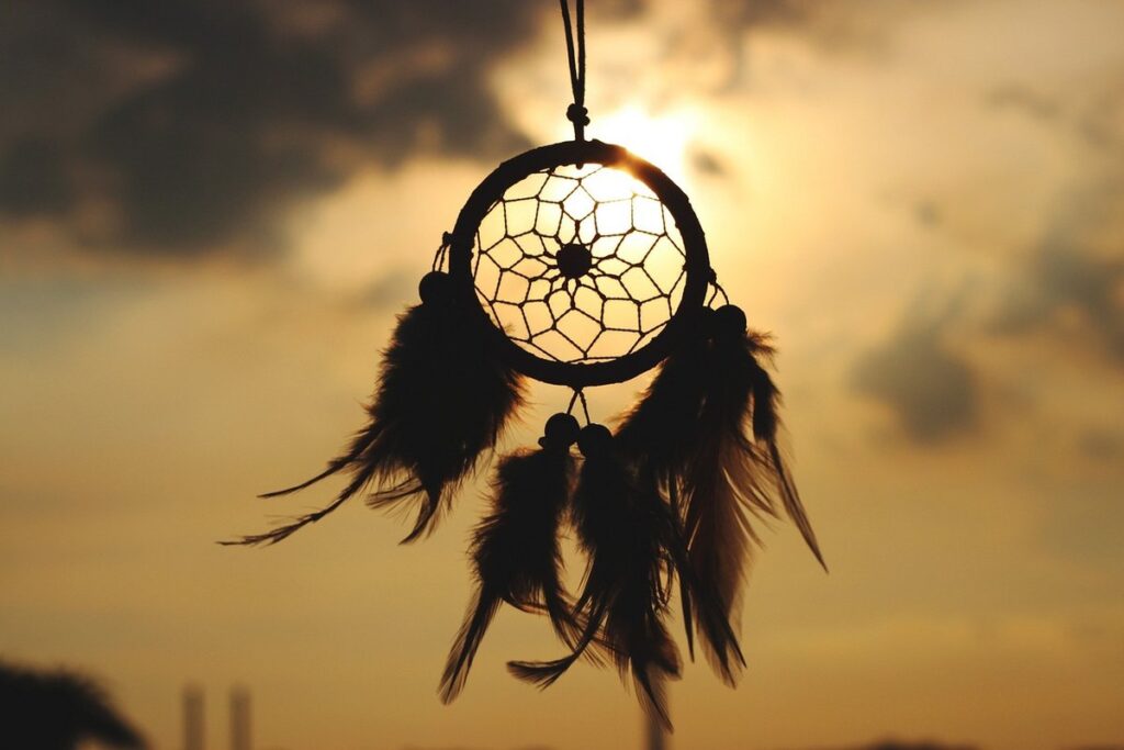 bird seed catchers