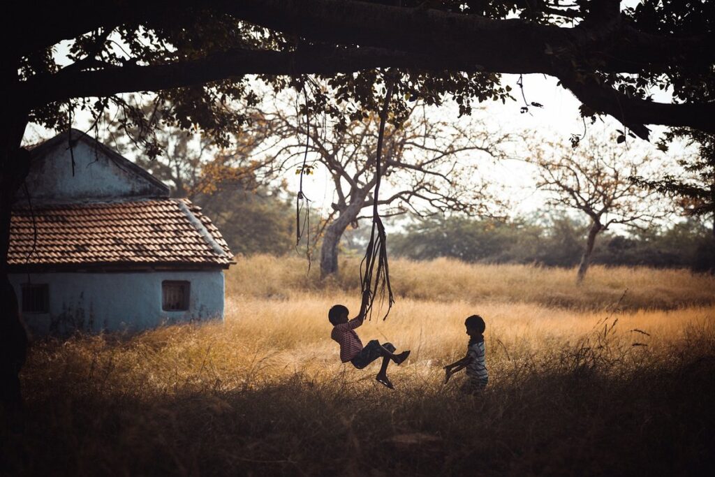 bird swing
