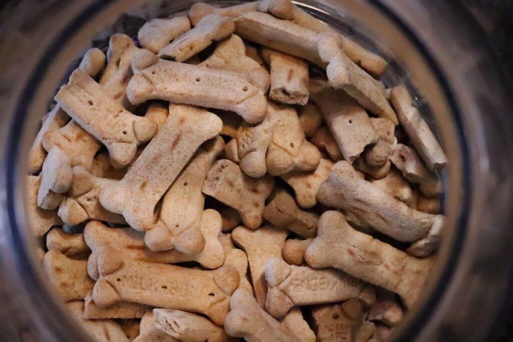 best dog food for raccoons