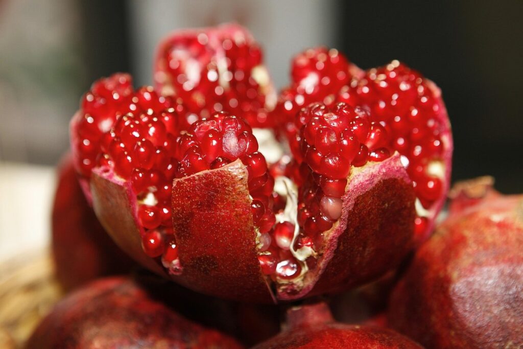 exotic pet nutrition