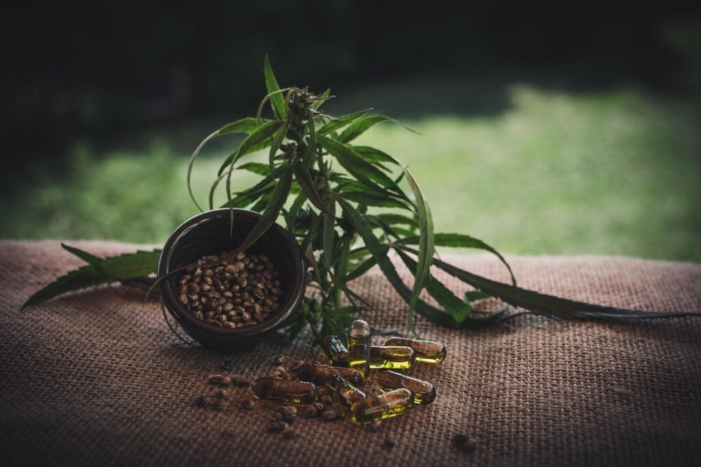 hemp seeds for birds