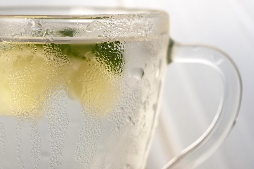lemonade isopods