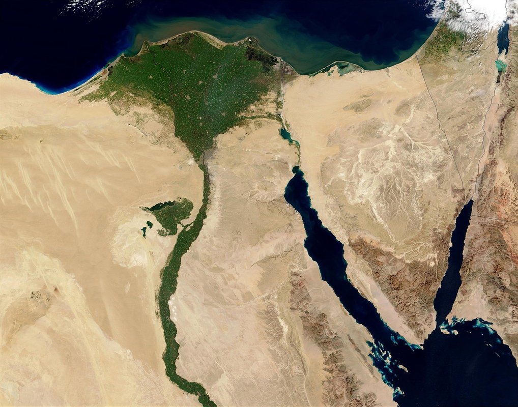 Nile monitor
