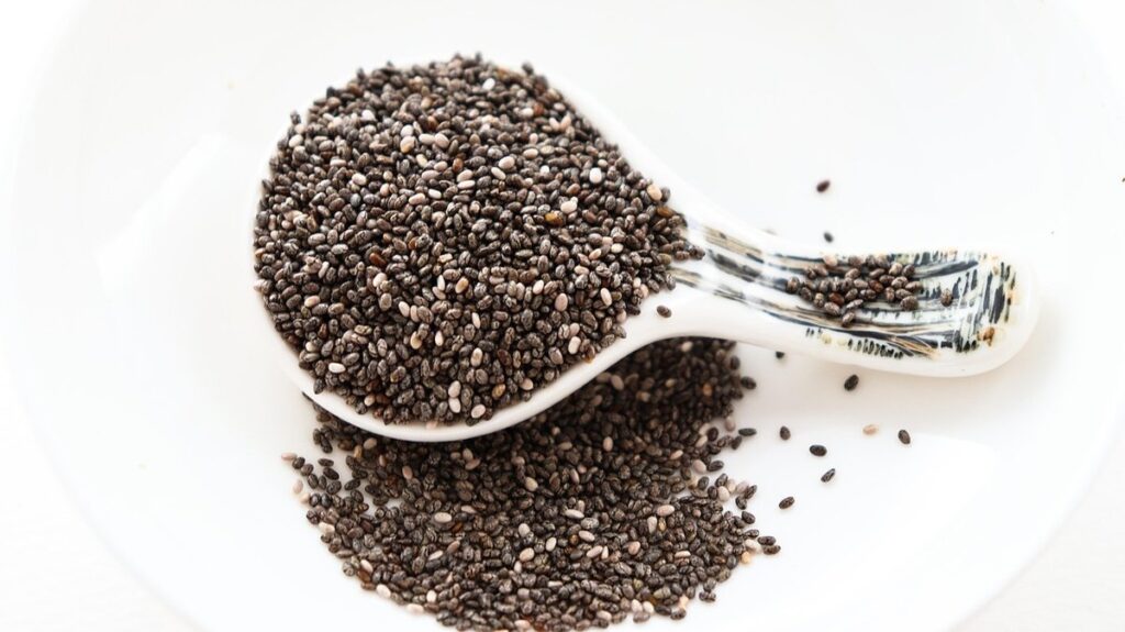 can parrots eat chia seeds