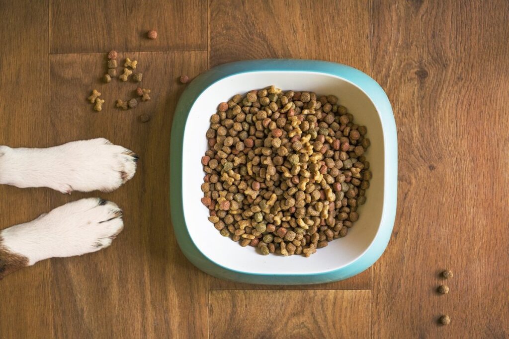 exotic pet nutrition across life stages