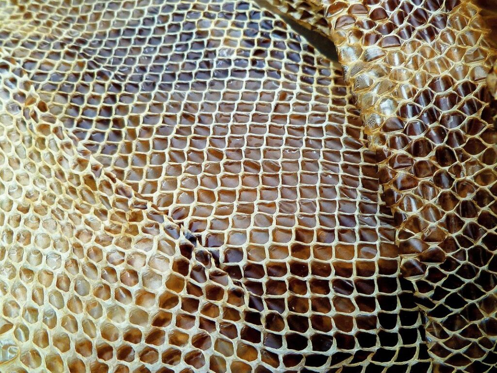 reptile shedding habits
