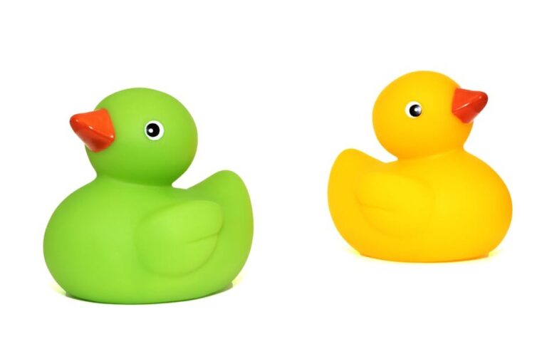 rubber ducky isopod behavior