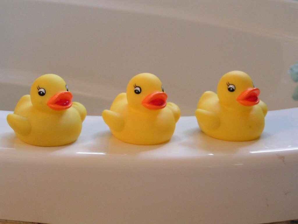 rubber ducky isopods