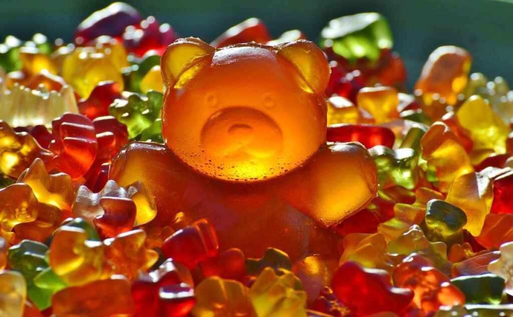 what is a sugar bear animal