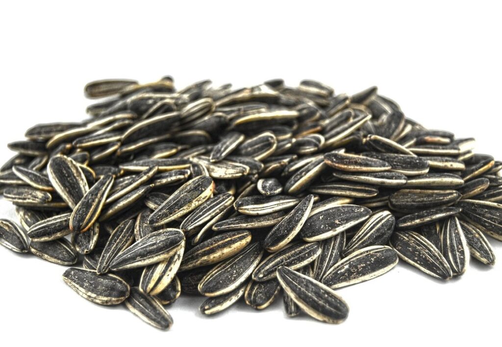 sunflower seeds for birds