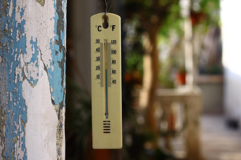 thermometer for reptiles